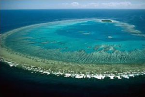 Resilient_Reef_Alexandra_Coghlan_Lewis_Carter_Great_Barrier_Reef