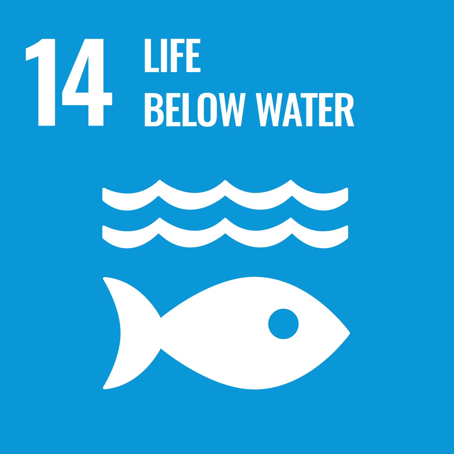 Icon for SDG 14