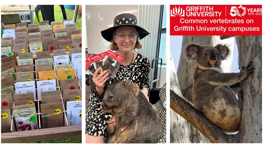  Left image of packets of seeds, middle image of Catherine Pickering with a wombat, right image of front cover of Common vertebrates on Griffith University campuses book. 